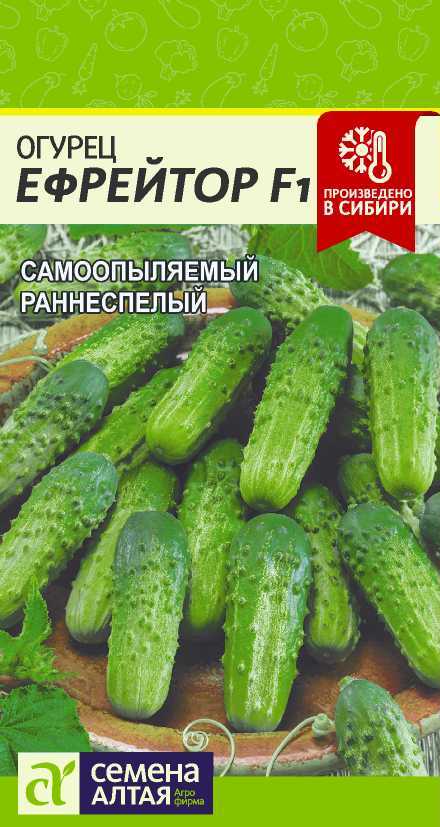 Огурец Ефрейтор: описание и характеристики сорта, правила посадки и ...