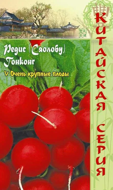 Редис Гонконг: описание и характеристики сорта, особенности посадки и ...