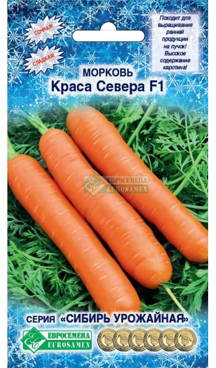 Морковь Краса Севера: описание и характеристики сорта, правила посадки ...