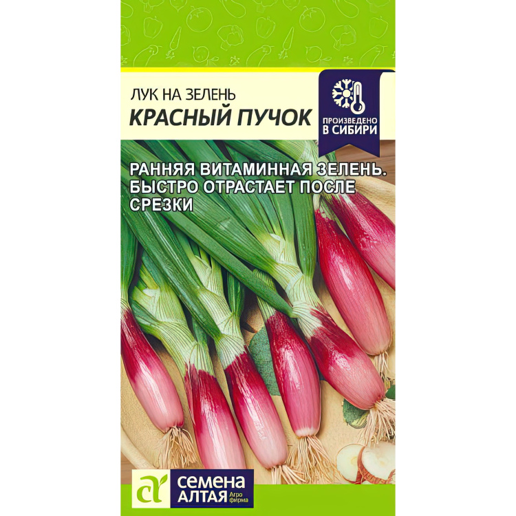 Лук Красный пучок: описание и характеристики сорта, агротехника посадки ...