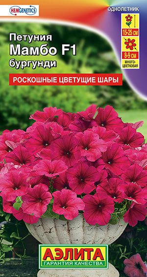 Петуния Мамбо Бургунди: описание сорта, характеристики, тонкости ...