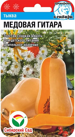 Тыква Медовая гитара: особенности сорта, характеристика плодов ...
