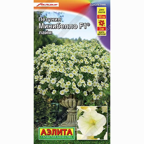 Петуния Минибелло Лайм: описание сорта, характеристики, тонкости ...