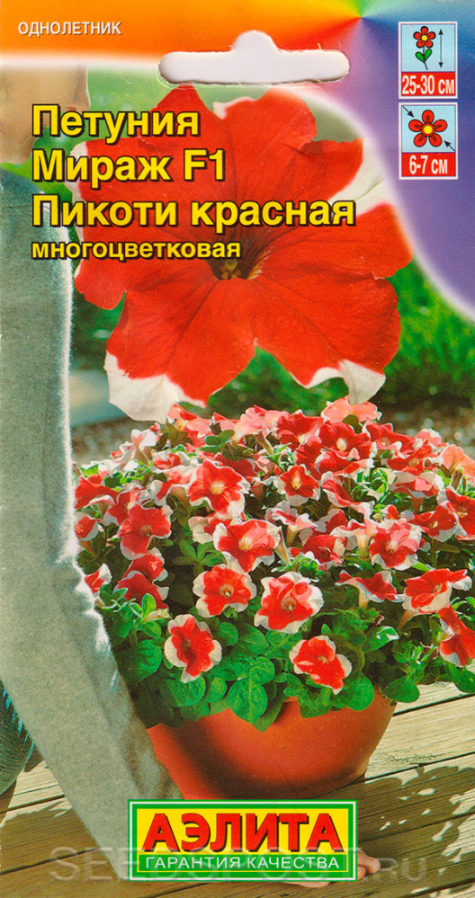 Петуния Мираж Ред Пикоти: описание сорта, характеристики, тонкости ...