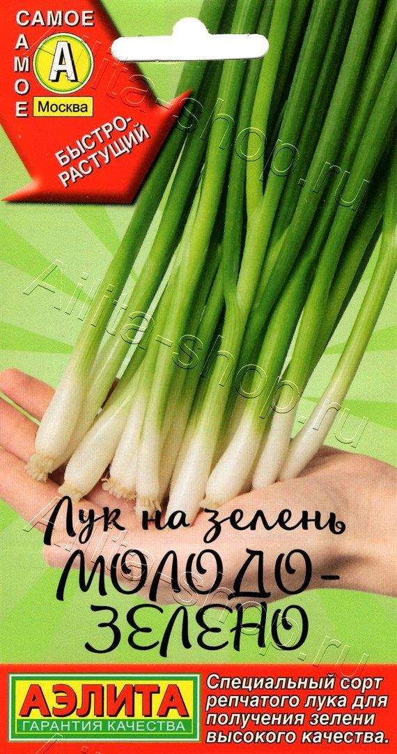Лук Молодо-зелено: описание и характеристики сорта, агротехника посадки ...