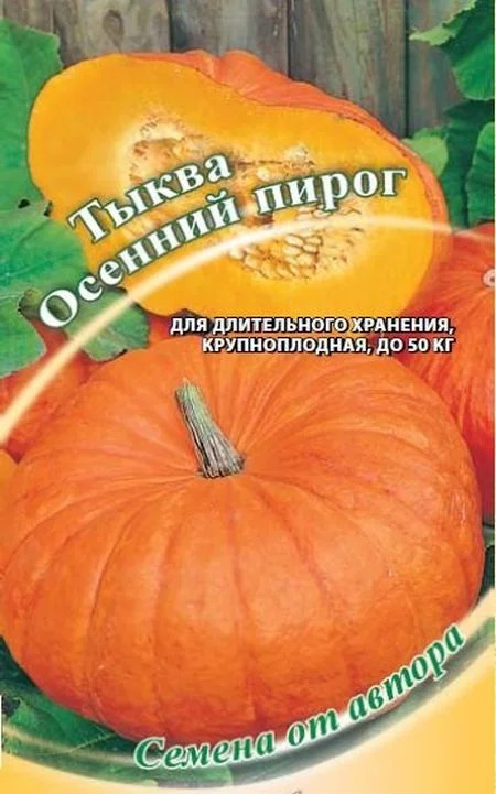 Тыква Осенний пирог: особенности сорта, характеристика плодов ...