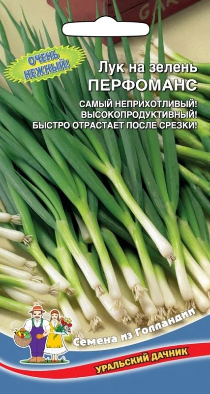 Лук Перфоманс: описание и характеристики сорта, агротехника посадки и ...