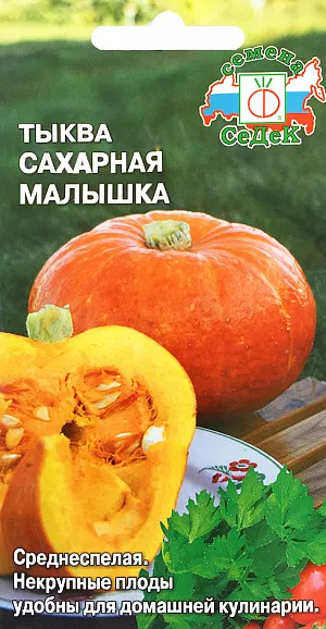 Тыква Сахарная малышка: особенности сорта, характеристика плодов ...