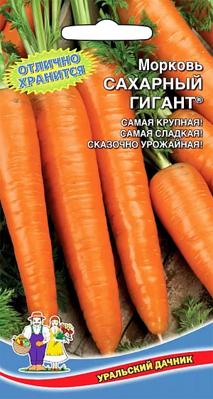 Морковь Сахарный гигант: описание и характеристики сорта, правила ...