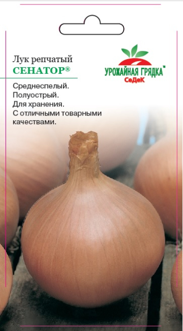 Лук Сенатор: описание и характеристики сорта, агротехника посадки и ...