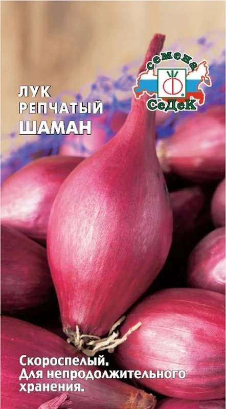 Лук Шаман: описание и характеристики сорта, агротехника посадки и ...
