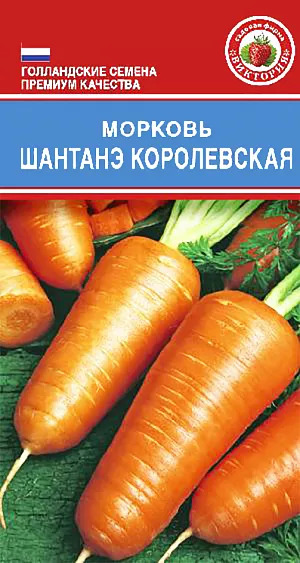 Морковь Шантанэ королевская: описание и характеристики сорта, правила ...
