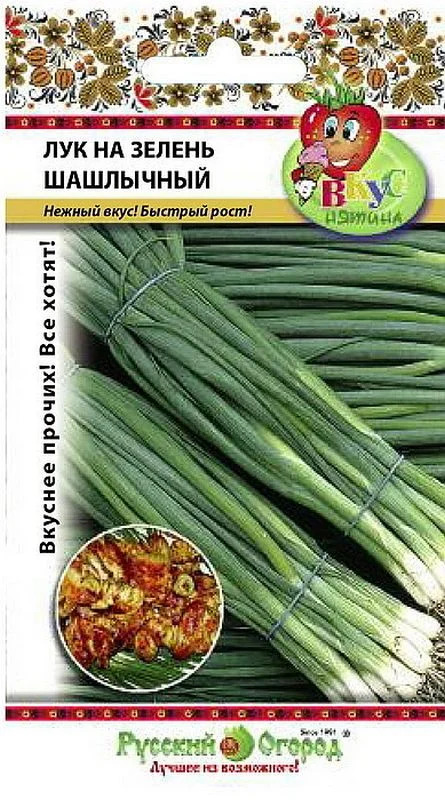 Лук Шашлычный: описание и характеристики сорта, агротехника посадки и ...