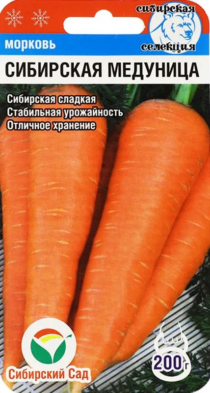 Морковь Сибирская медуница: описание и характеристики сорта, правила ...