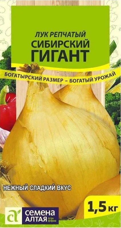Лук Сибирский гигант: описание и характеристики сорта, агротехника ...