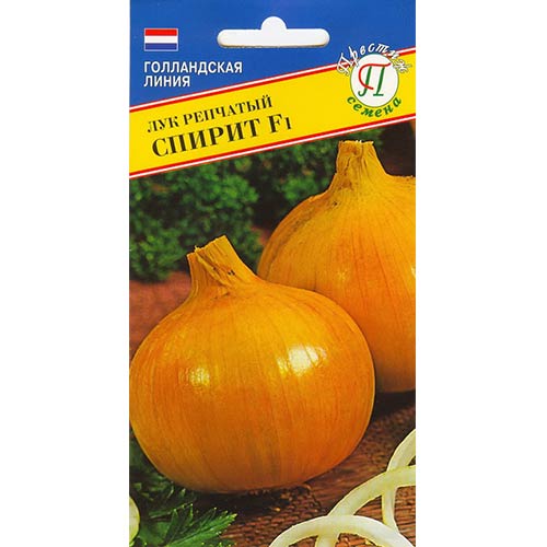 Лук Спирит: описание и характеристики сорта, агротехника посадки и ...