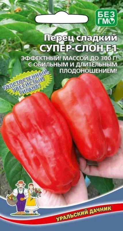 Перец Супер-Слон: описание сорта, характеристика плодов, агротехника ...