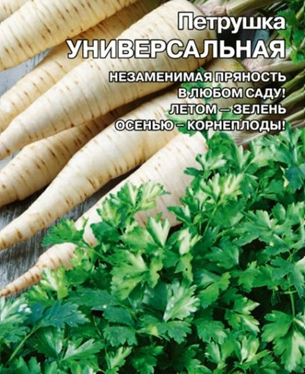 Петрушка Универсальная: описание и характеристика сорта, тонкости ...