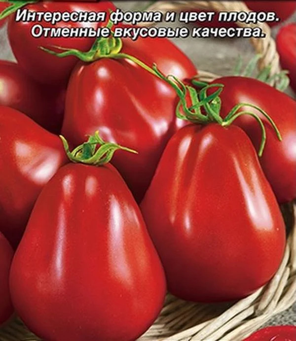 Томат Винный кувшин: описание сорта помидоров, характеристики ...