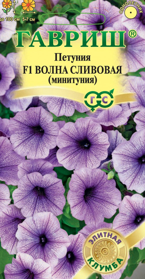 Петуния Волна Сливовая: описание сорта, характеристики, тонкости ...