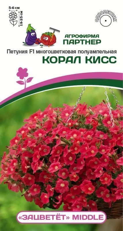 Петуния Зацветет Middle Корал Кисс: описание сорта, характеристики ...