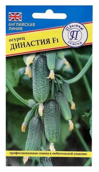 Огурец Династия: описание и характеристики сорта, правила посадки и ...