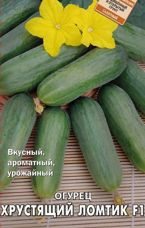 Огурец Хрустящий ломтик: описание и характеристики сорта, правила ...