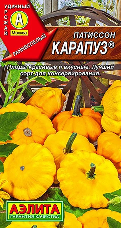 Патиссон Карапуз: описание и характеристики сорта, особенности посадки ...