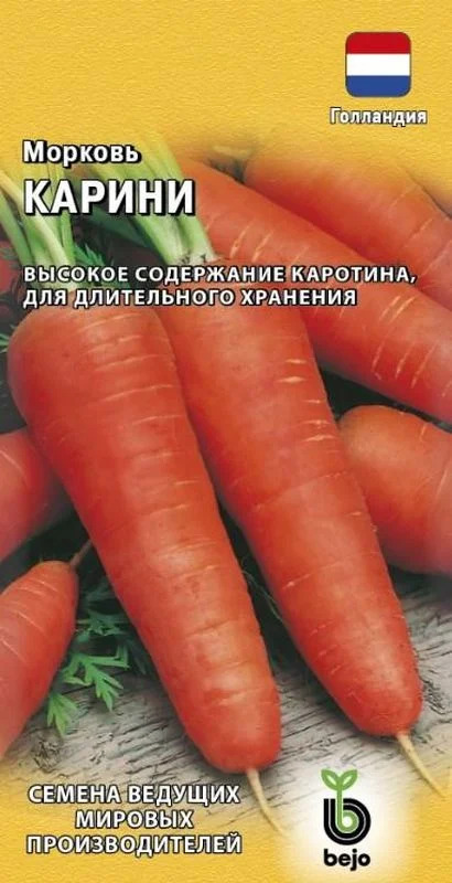 Морковь Карини: описание и характеристики сорта, правила посадки и ...