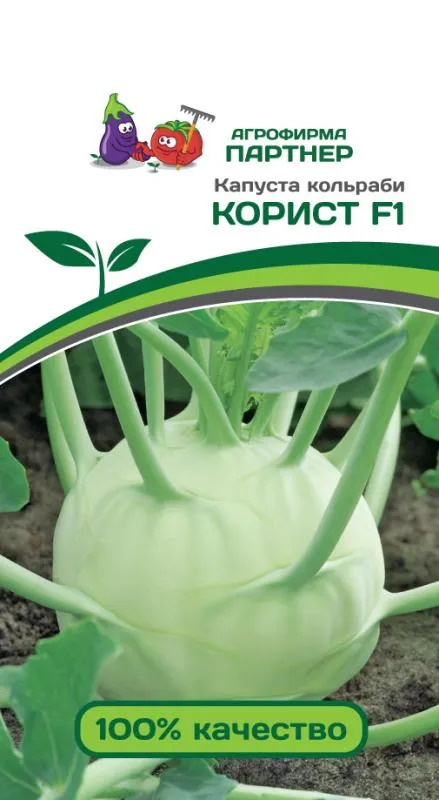 Капуста кольраби Корист: описание и характеристики сорта, особенности ...