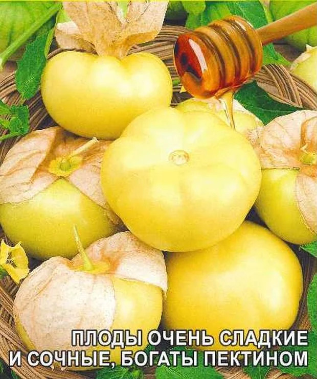 Физалис Медовая Сливка: описание сорта, характеристики, особенности ...