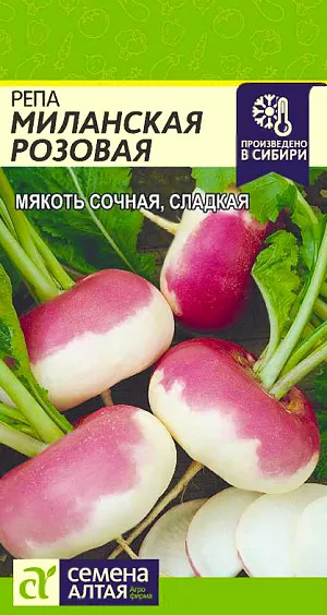 Репа Миланская розовая: описание и характеристики сорта, особенности ...