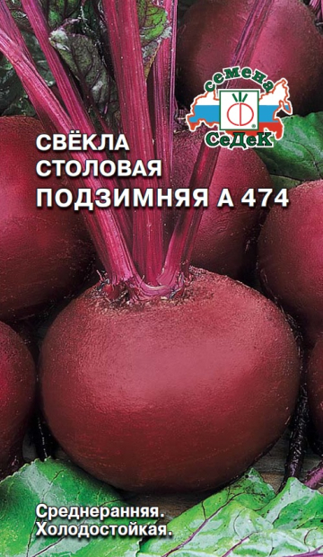 Свекла Подзимняя А 474: особенности и характеристики сорта, агротехника ...