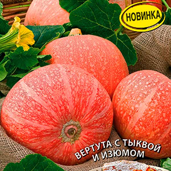 Тыква Поваренок: особенности сорта, характеристика плодов, агротехника ...