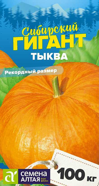 Тыква Сибирский гигант: особенности сорта, характеристика плодов ...