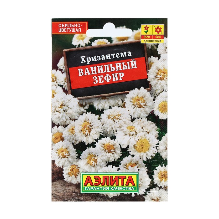 Хризантема Ванильный зефир: описание сорта, характеристики, особенности ...
