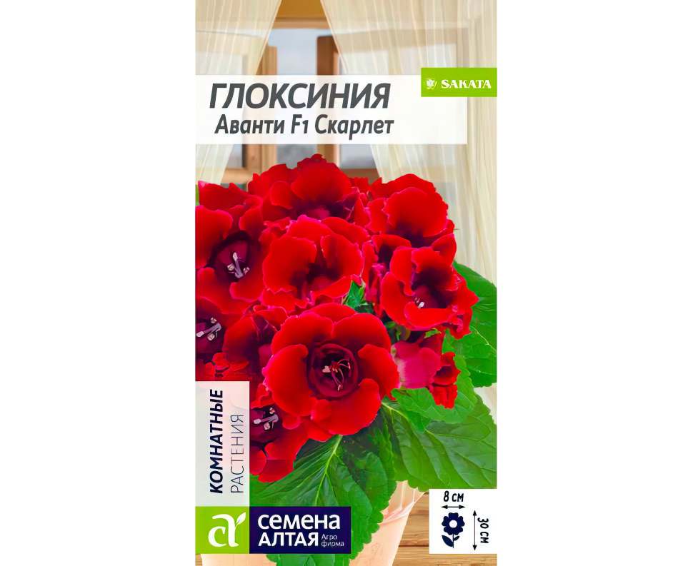 Глоксиния Аванти Скарлет: особенности и характеристика сорта, правила ...