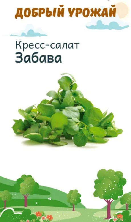 Кресс-салат Забава: описание и характеристики сорта, особенности ...