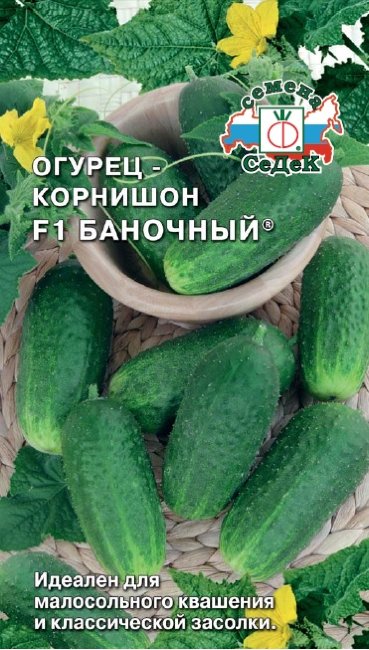 Огурец Баночный: описание и характеристики сорта, правила посадки и ...
