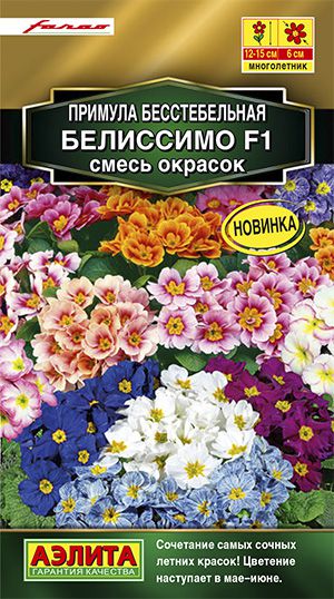 Примула Белиссимо F1: описание сорта, характеристики, особенности ...