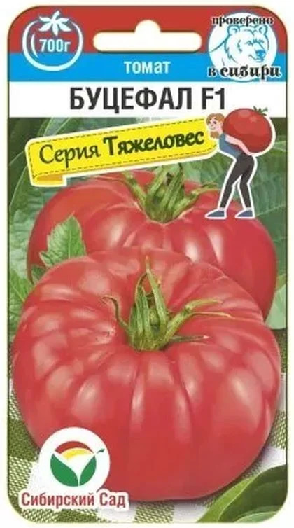 Томат Буцефал: описание сорта помидоров, характеристики. Особенности ...