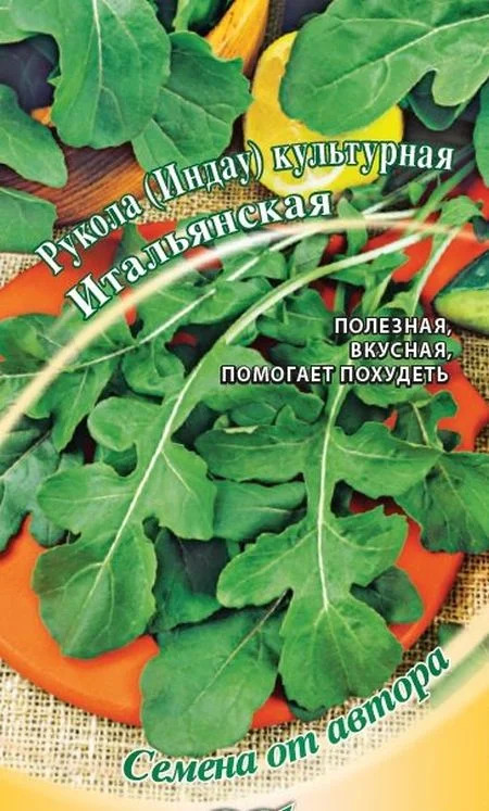 Рукола (индау) Итальянская: описание сорта, характеристики, агротехника ...