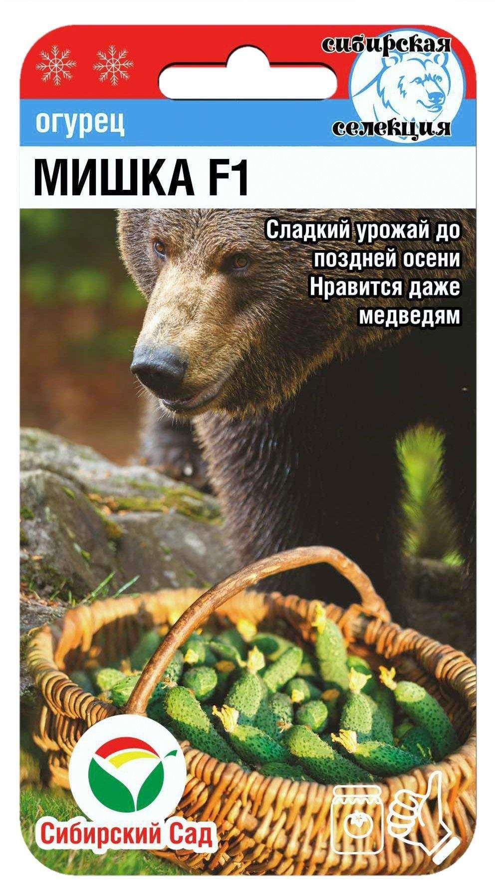 Огурец Мишка: описание и характеристики сорта, правила посадки и ...