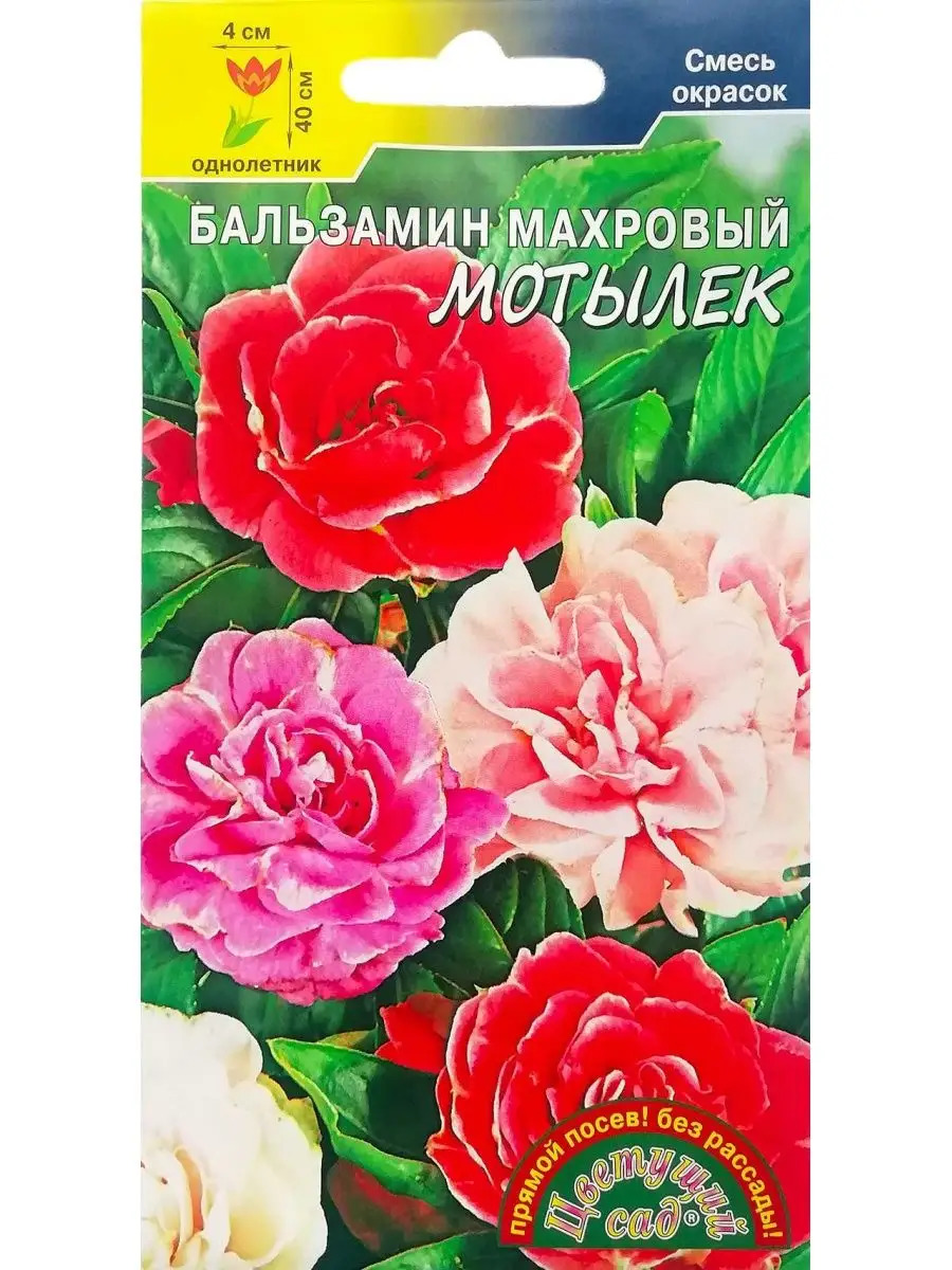 Бальзамин Мотылек махровый: описание сорта, характеристики, особенности ...