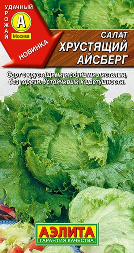 Салат Хрустящий айсберг: описание и характеристики сорта, отзывы
