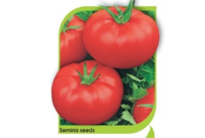 томат санрайз
