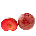 Гибриды сливы и абрикоса