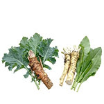 Сорта катрана и хрена