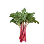 Сорта ревеня