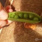 Отзыв про Горох Детский сахарный